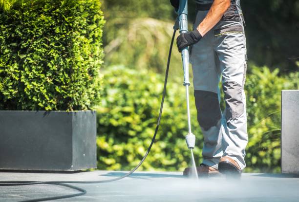 Best Boat and Dock Cleaning  in Zephyrhills West, FL